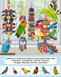Bissap 2 PCS Bird Chew Toys - 4 PCS (Pack of 2) - image 4