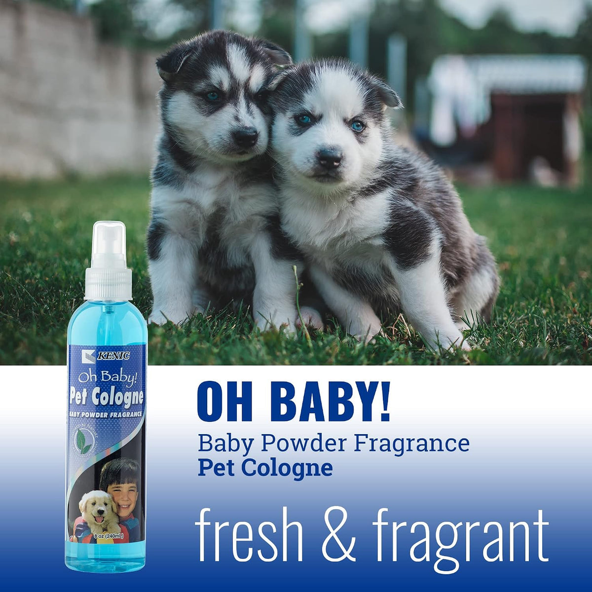 Pet Cologne, Long Lasting Scented Dog & Cat Deodorizing Spray - Baby Powder - image 3