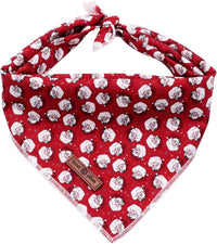 Lionet Paws Spring Daisy Dog Bandana Washable Cotton Handkerchief - Santa Claus / Large (Pack of 1)
