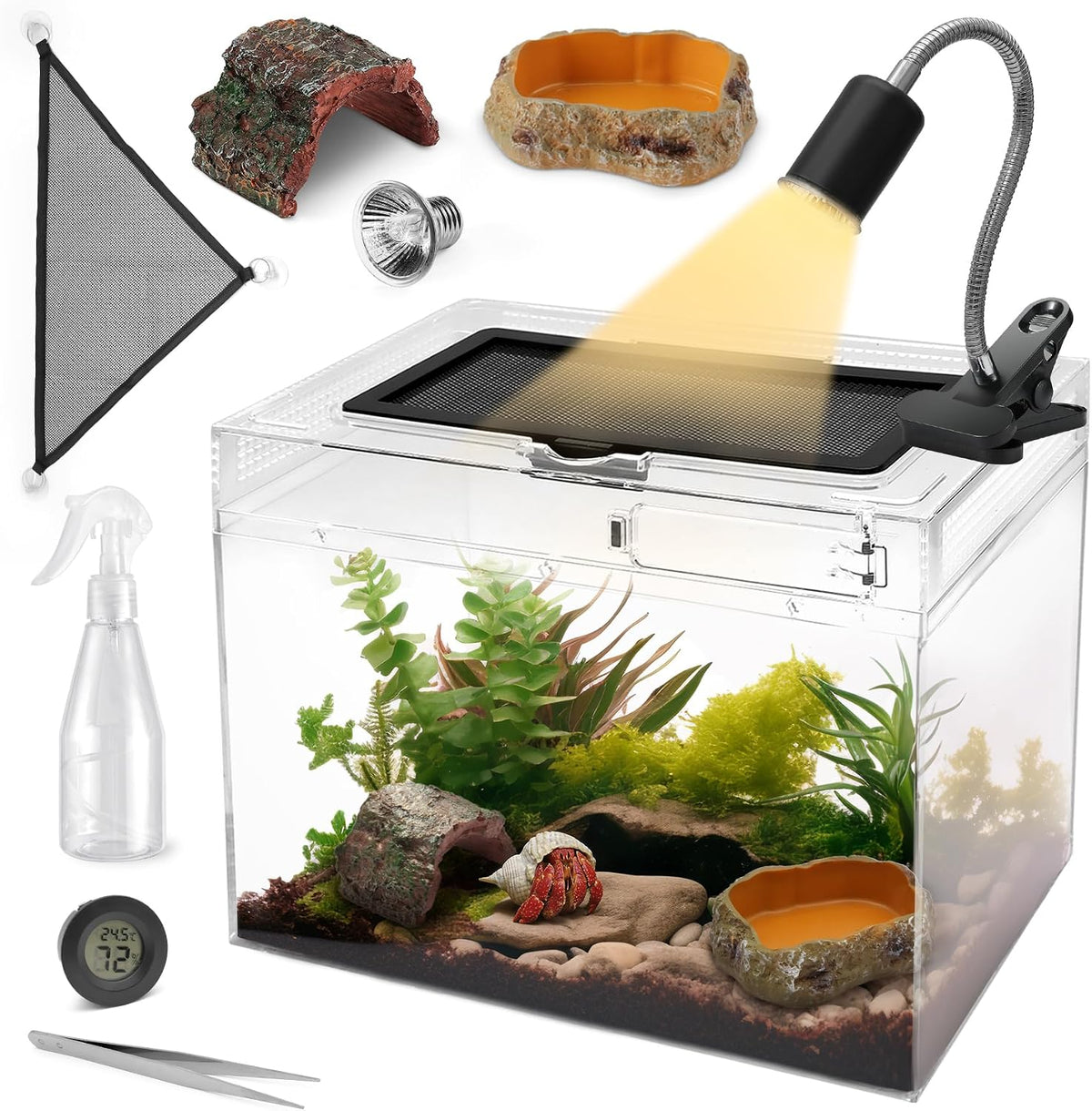 AZV Reptile Terrarium Starter Kit - Small(12*9*7IN)