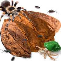 SunGrow 50 Pack Leaf Litter for Spider, Cricket & Isopod - Large - 10Pcs