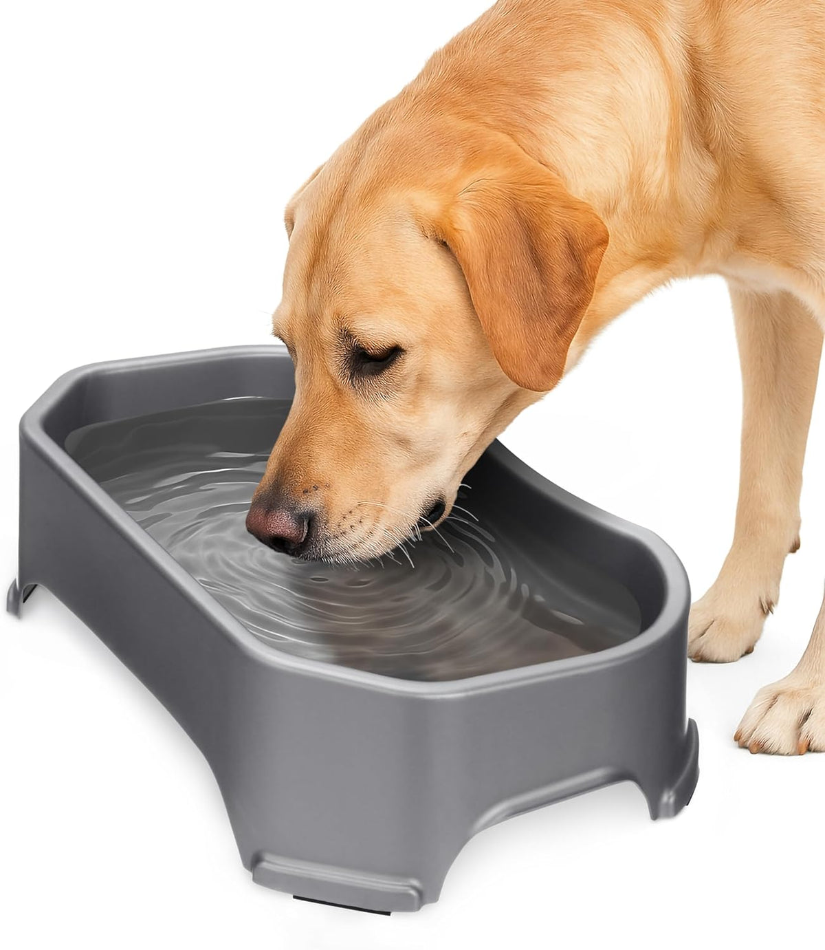 Neater Pet Brands Extra Large Water Bowl for Dogs - 1.25 Gallons / Gunmetal Grey