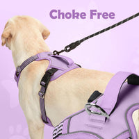Funfox Dog Harness Medium Sized Dog - Purple / X-Large - image 4
