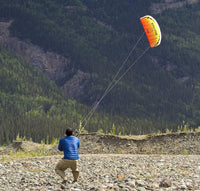 Prism Kite Technology Synapse Dual-line Parafoil Kite - image 4