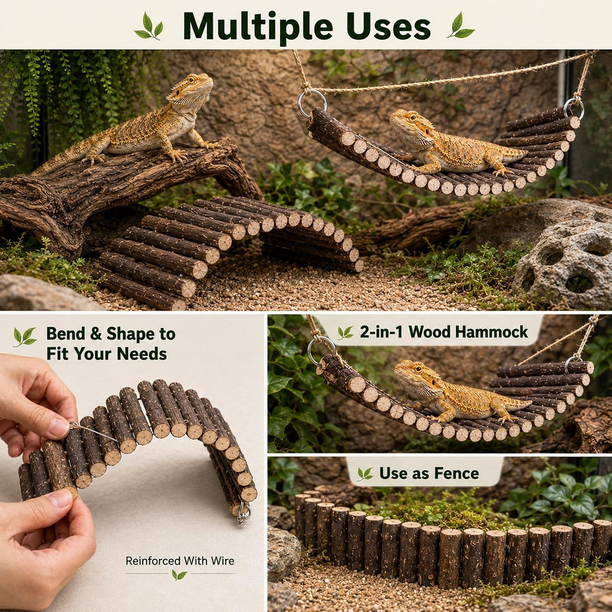 RUNANIA Bearded Dragon Tank Accessories - Medium - image 4