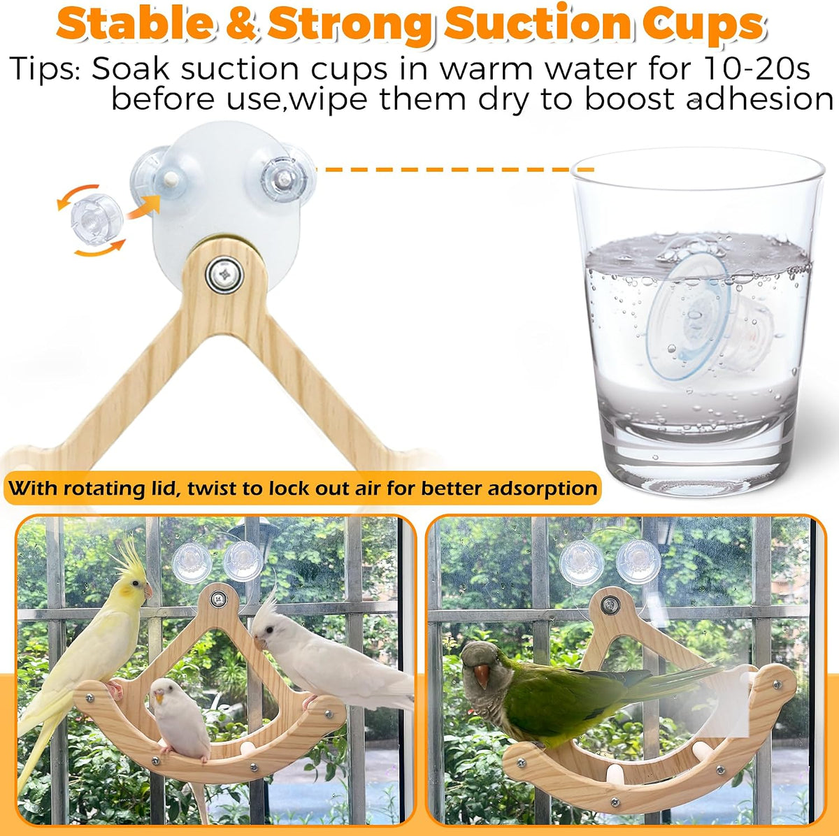 Bird Perch Toy, Wooden Interactive Rocking Parakeet Toys and Perches – Essentials for Birds - Natural Wood / Cage and Suction Cup Installation - image 4