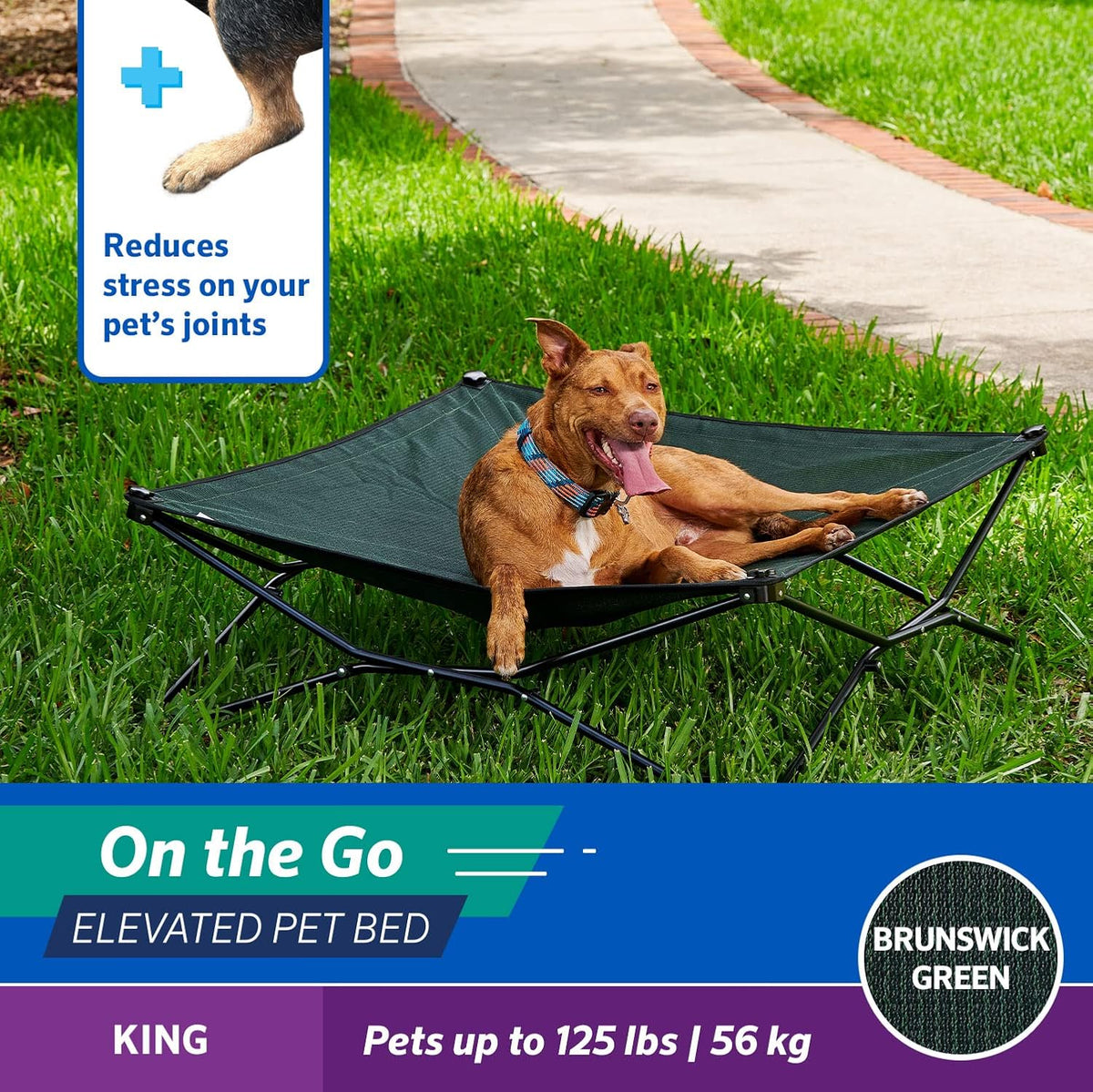 Coolaroo On-The-Go Elevated Dog Bed - King / Brunswick Green - image 3