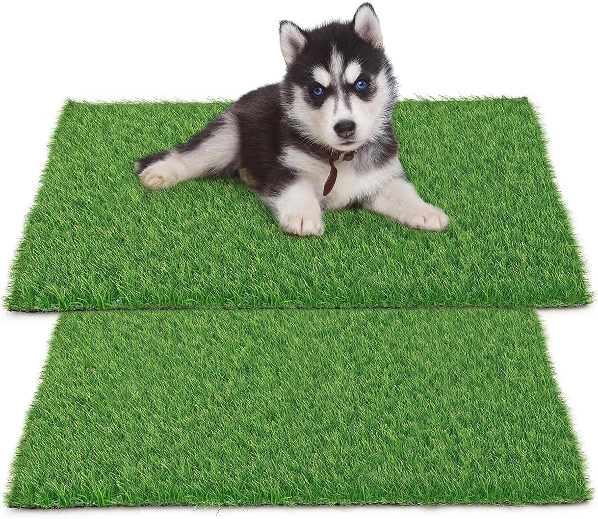 30 x 20 inches 2 Pack Fake Grass Pee for Dogs Artificial Grass Rug - 30 x 30 Inch (Pack of 2)