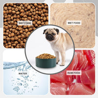 Ceramic Dog Bowl for Food and Water - Medium / White - image 3