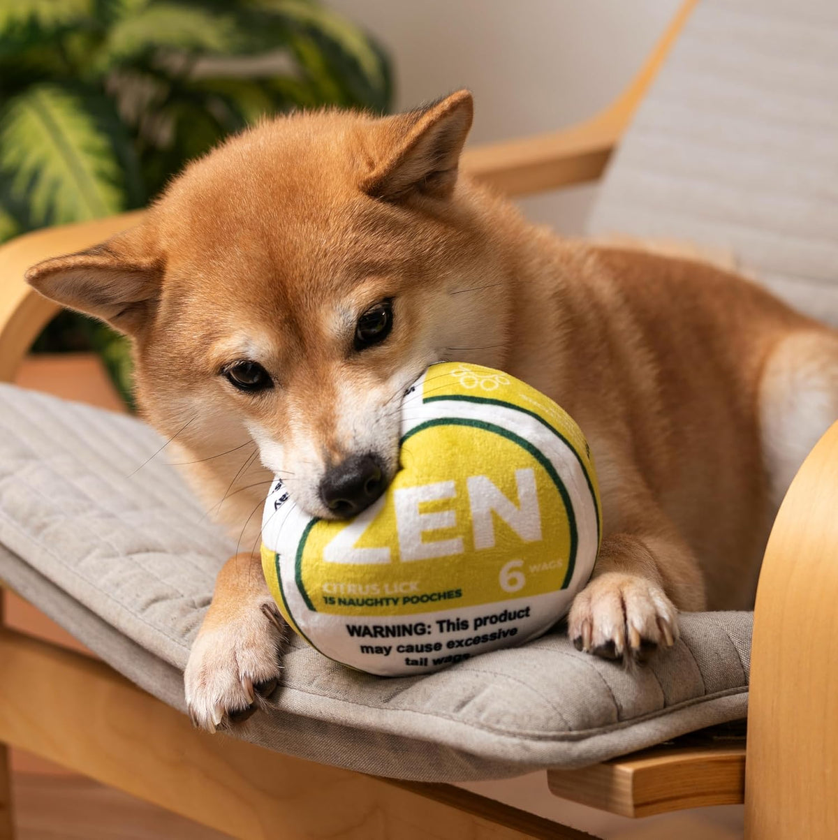 Nestpark Zen Pupper Deckies Parody Dog Toy - Citrus Lick - image 2