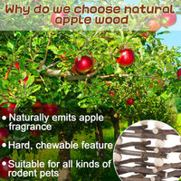 Hanging Apple Wood Rabbit Hay Feeder for Chinchilla Bunny Hamster - image 3