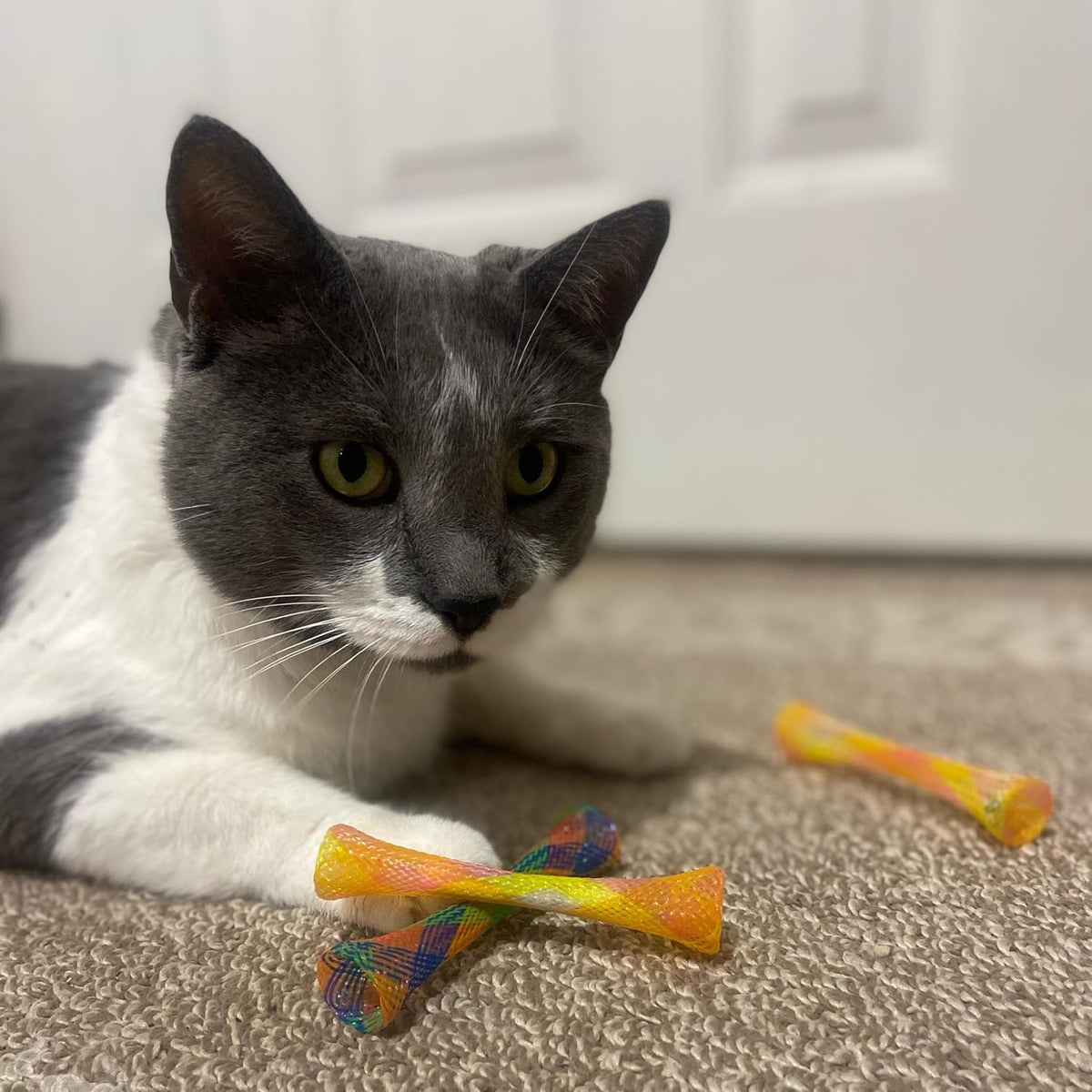 SPOT Kitty Fun Tubes Cat Toy with Catnip Inside - image 2