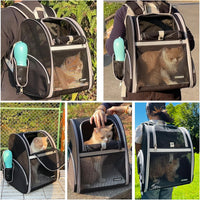 Cat Backpack Carrier for Small Dogs and Medium cat Puppy Kitten Bunny - Black / 12.9"L x 10.6"W x 15.5"H - image 4