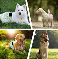 Reusable Dog Diapers Female Washable 3 Pack S Flowers for Heat – Essentials for Dogs - Purple / XL(17.5"-27"Waist) / 3 - image 3