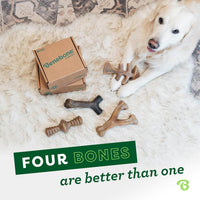 Benebone Medium 4-Pack Dog Toys for Aggressive Chewers - Large (Pack of 8) / 4 Pack - image 4