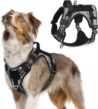 rabbitgoo Tactical Dog Harness for Large - B&W Geometric / Medium