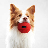 Playology Durable Plush Bone Toy, Squeaky Bone, Jumbo - Medium Ball / Beef - image 3