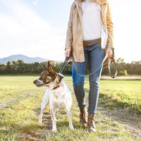 TwoEar 5FT 1IN Strong Gray Dog Leash with 2 Padded Handles, Traffic Handle Extra Control, Comfortable Soft Dual Handle, Auto Lock Hook, Reflective Walking Lead for Small Medium and Large Dogs