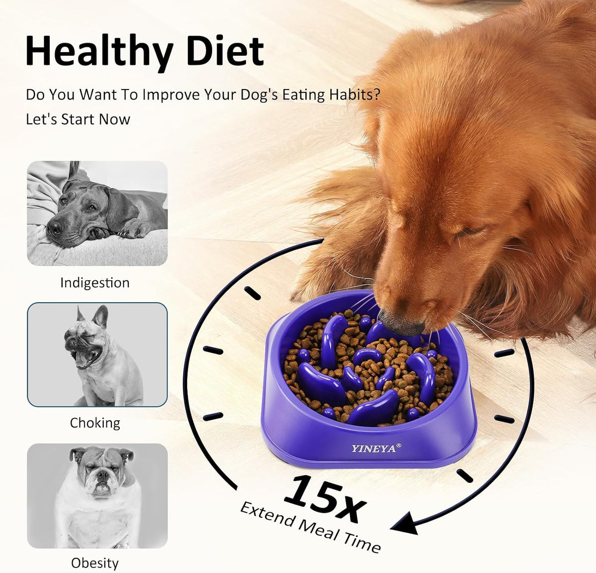 YINEYA Slow Feeder Dog Bowl for Medium Dogs - Medium / I - Purple - image 3