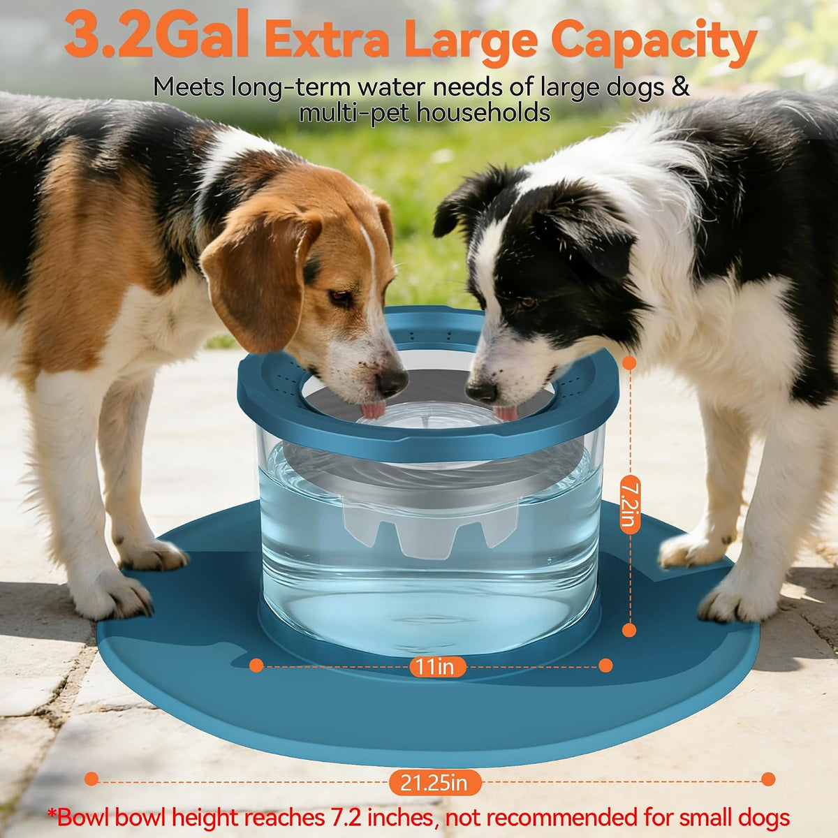 12L No Spill Stainless Steel Dog Water Bowl for Large Dogs – Essentials for Dogs - Blue - image 2