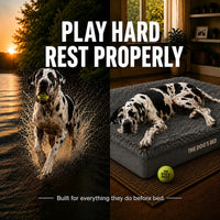 The Dog’s Bed Orthopedic Memory Foam Dog Bed - Grey Fur / XXL Beds (6" deep) - image 2