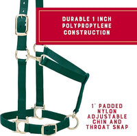 Weaver Leather Nylon Horse Halter, Padded and Adjustable, Chin and Throat Snap Hook Halters for Horses, Brass Plated Halters for Training