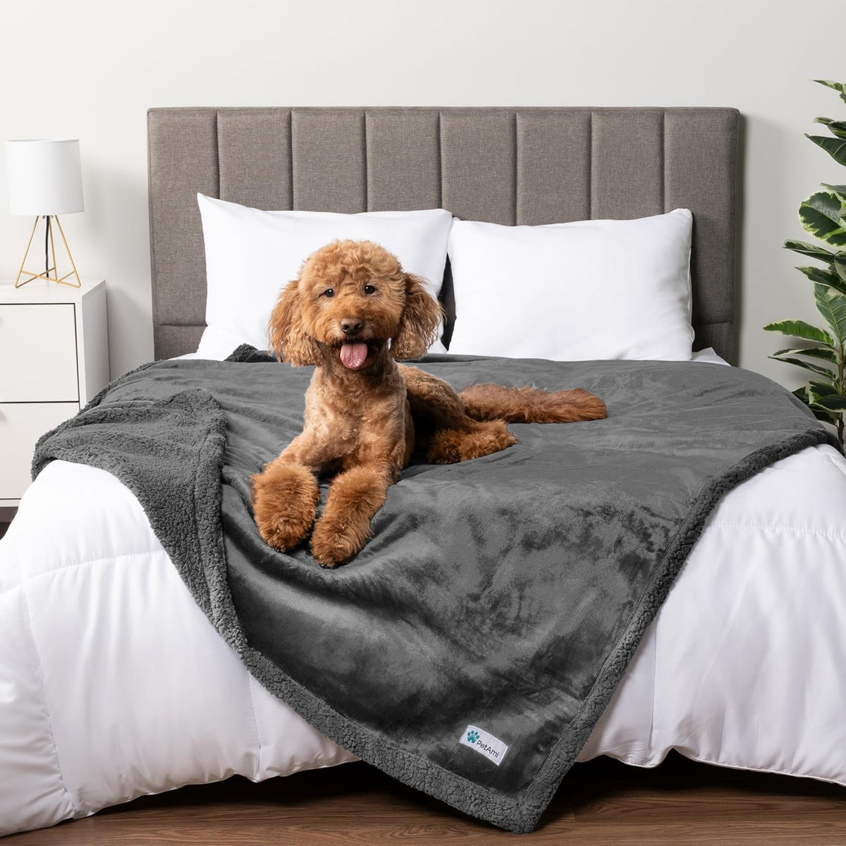 PetAmi Waterproof Dog Blanket for Medium Large Dog Pet, 60x40 - Queen 90 X 90 Inches / Gray/Gray Sherpa