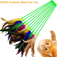 Cat Wand Feather Toys, 6 Pieces Interactive Cat Feathers Teaser Toy for Indoor Cats Play – Essentials for Cats - 10PCS Cat Wand Toys - image 3