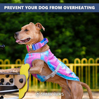 Spark Paws Dog Cooling Vest, Evaporative Summer Cooling - Snowcone / X-Large - image 3