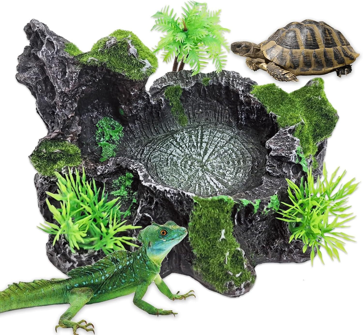 PINVNBY Reptile Water Dish, Snake Water Bowl - With Moss