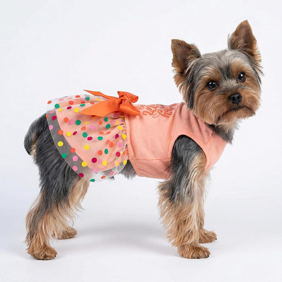 Fitwarm Birthday Girl Dog Tulle Dress - Small / Happy Easter - image 4
