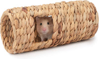 Niteangel Creative & Composable Hamster Tunnel: Edible Water Hyacinth - SHLD