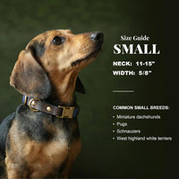 PU Leather Dog Collar for Small Dogs Puppy, Soft Lining, Green S – Essentials for Dogs - Blue / S: Neck 11-15", Width ⅝" - image 3