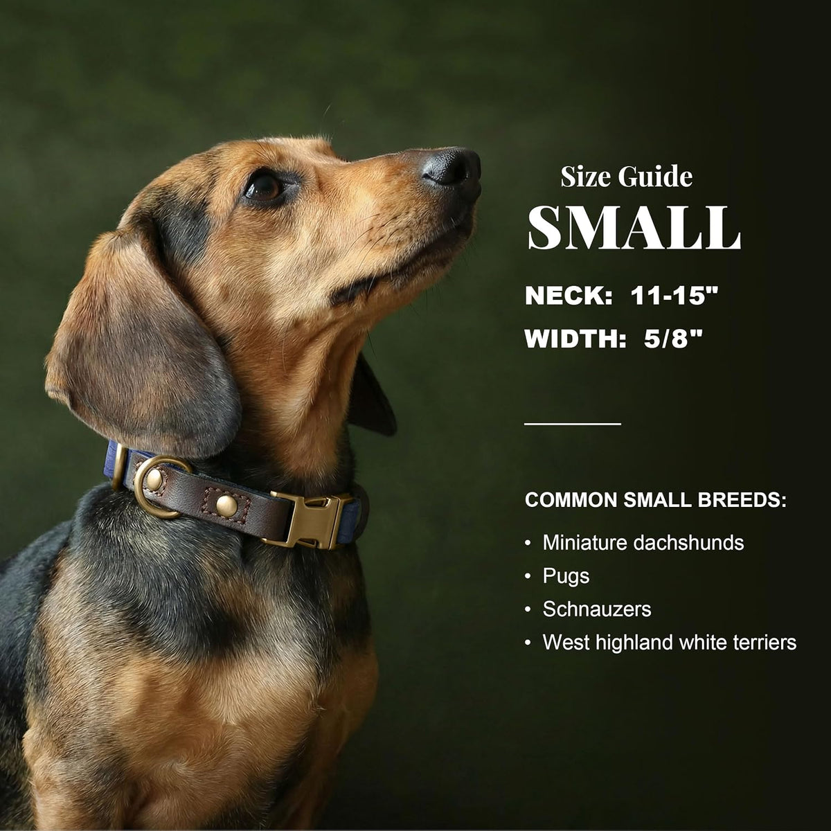 PU Leather Dog Collar for Small Dogs Puppy, Soft Lining, Green S – Essentials for Dogs - Blue / S: Neck 11-15", Width ⅝" - image 3