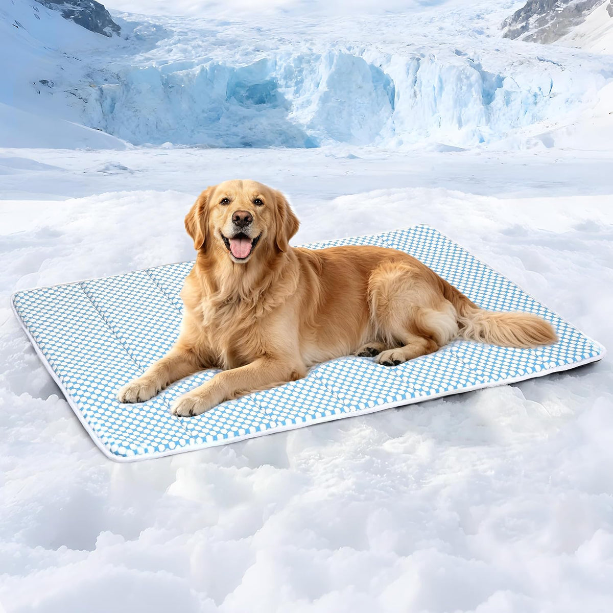 Dog Cooling Mat for Large Dogs, 35"x23" Memory Foam Pet Pad – Essentials for Dogs - Blue / 41"L x 27"W x 0.8"H