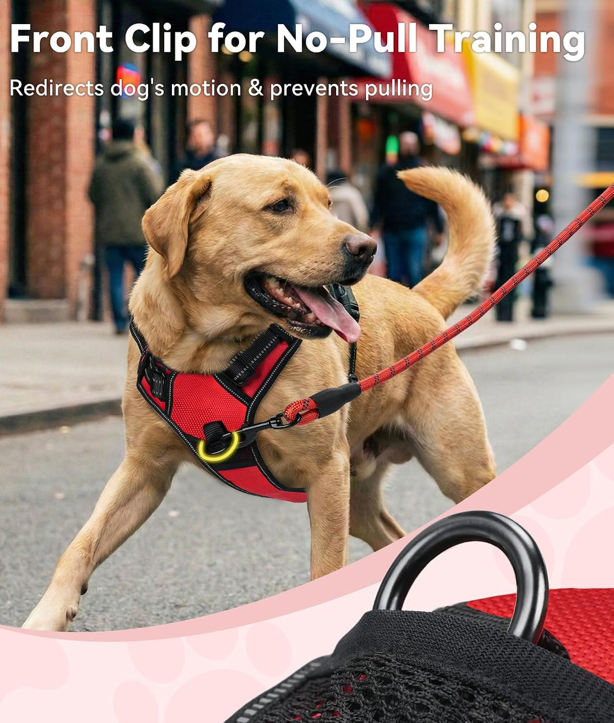 Joytale No Pull Dog Harness Medium Sized Dog, Front Clip - Small / Red - image 2