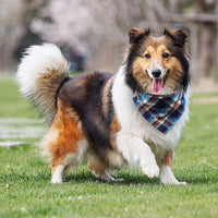 8 Pack Dog Bandanas Large - XX-Large(31.5inch) - image 3