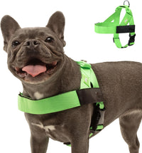 Dog Friendly Co. Dog Harness for Medium Sized Dogs – Essentials for Dogs - Neon Green / X-Large