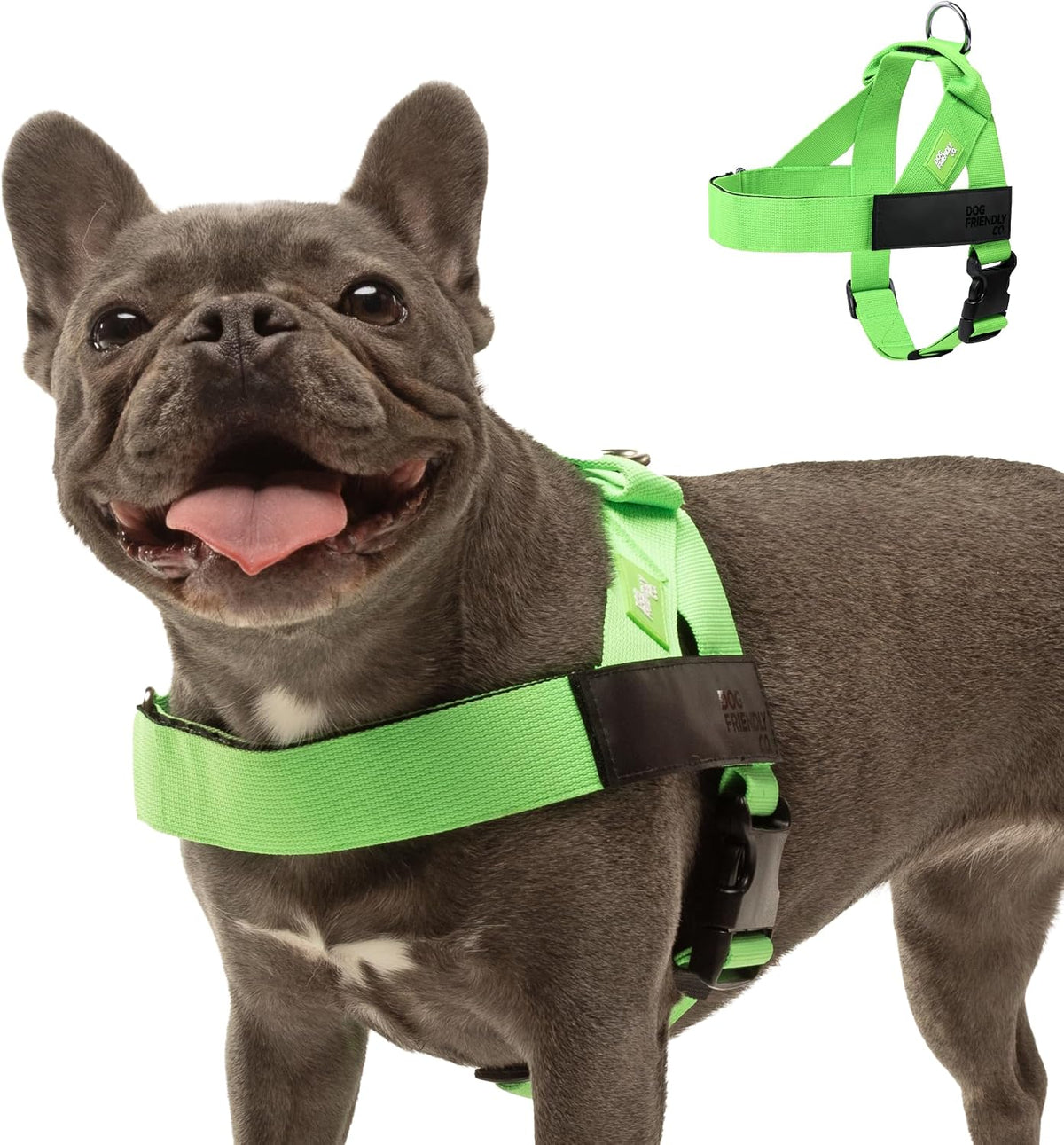 Dog Friendly Co. Dog Harness for Medium Sized Dogs – Essentials for Dogs - Neon Green / X-Large