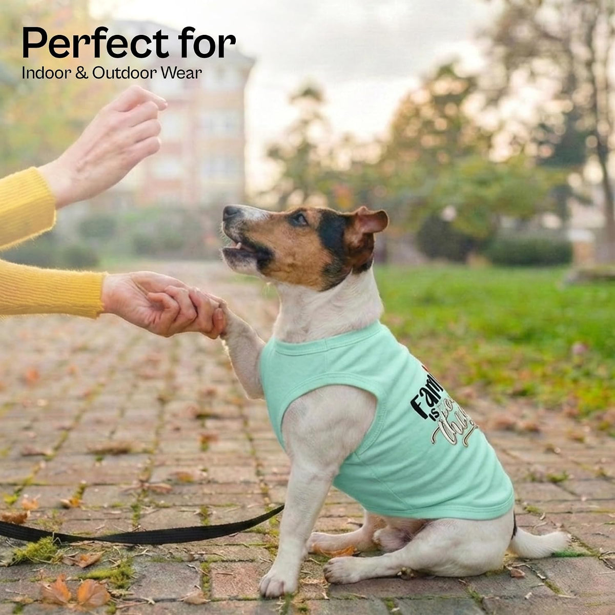 Parisian Pet Dog Shirt, 100% Cotton Shirts for Medium Dogs - Family is Everything / X-Small (3-5lbs) - image 4