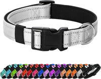 Reflective Dog Collar, Adjustable Nylon for Medium Dogs - Silver / S:width 5/8"neck 10.5-16"