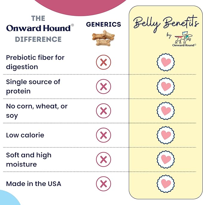 Training Treats for Dogs - Soft Salmon - Low Calorie Dog Training Treats for Sensitive Stomachs with Single Source Premium Protein, Corn Free, & Soy Free Formula - 10 oz