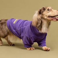 Fitwarm 3 Pack Classic Fleece Dog Sweater - Medium / Purple-MediumPurple-FireBrick - image 2