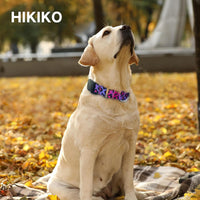 Martingale Dog Collar with Buckle - Gradient leopard / Medium - image 2