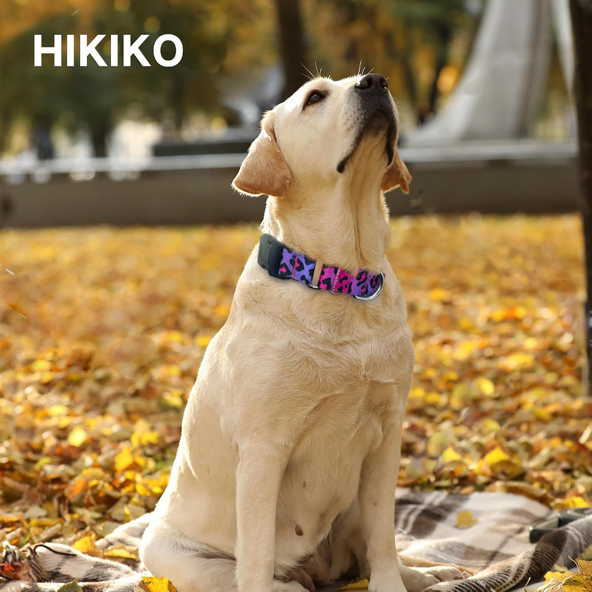 Martingale Dog Collar with Buckle - Gradient leopard / Medium - image 2
