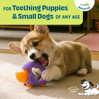 Cool Teething Stick Dental Dog Chew Toy, Soak & Freeze, 8.5" – Essentials for Dogs - Hedgehog - image 4