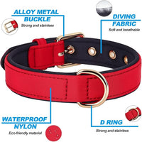 Didog Soft Padded Dog Collars for Medium Dogs, Lightweight and Breathable Dog Collar with Metal Buckle, Red, L