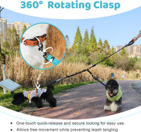 Double Dog Leash, No Tangle Splitter for Two Dogs - Blue - image 4