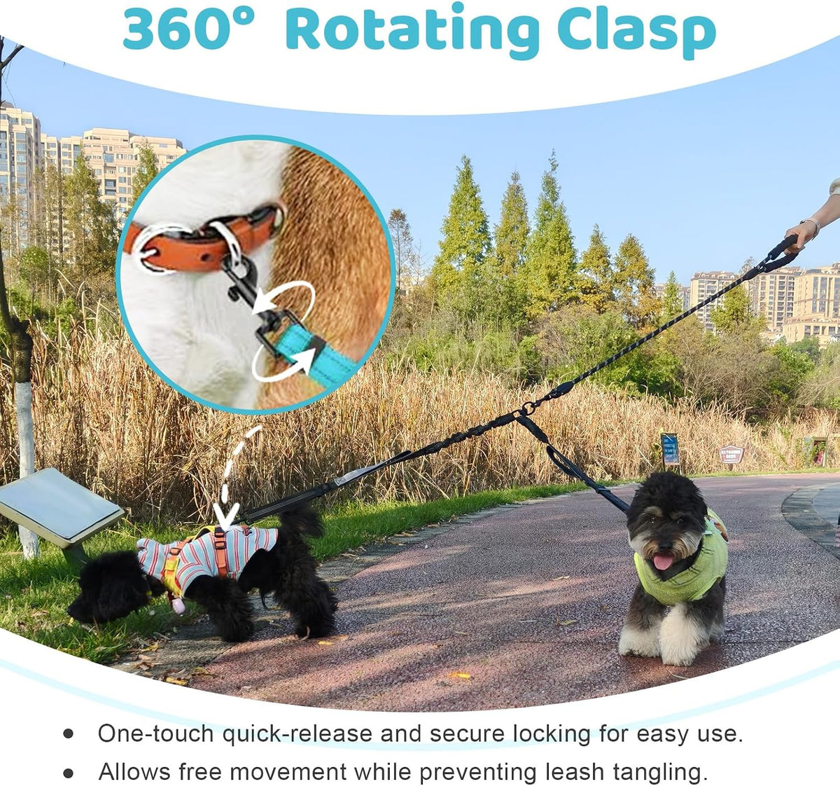 Double Dog Leash, No Tangle Splitter for Two Dogs - Blue - image 4