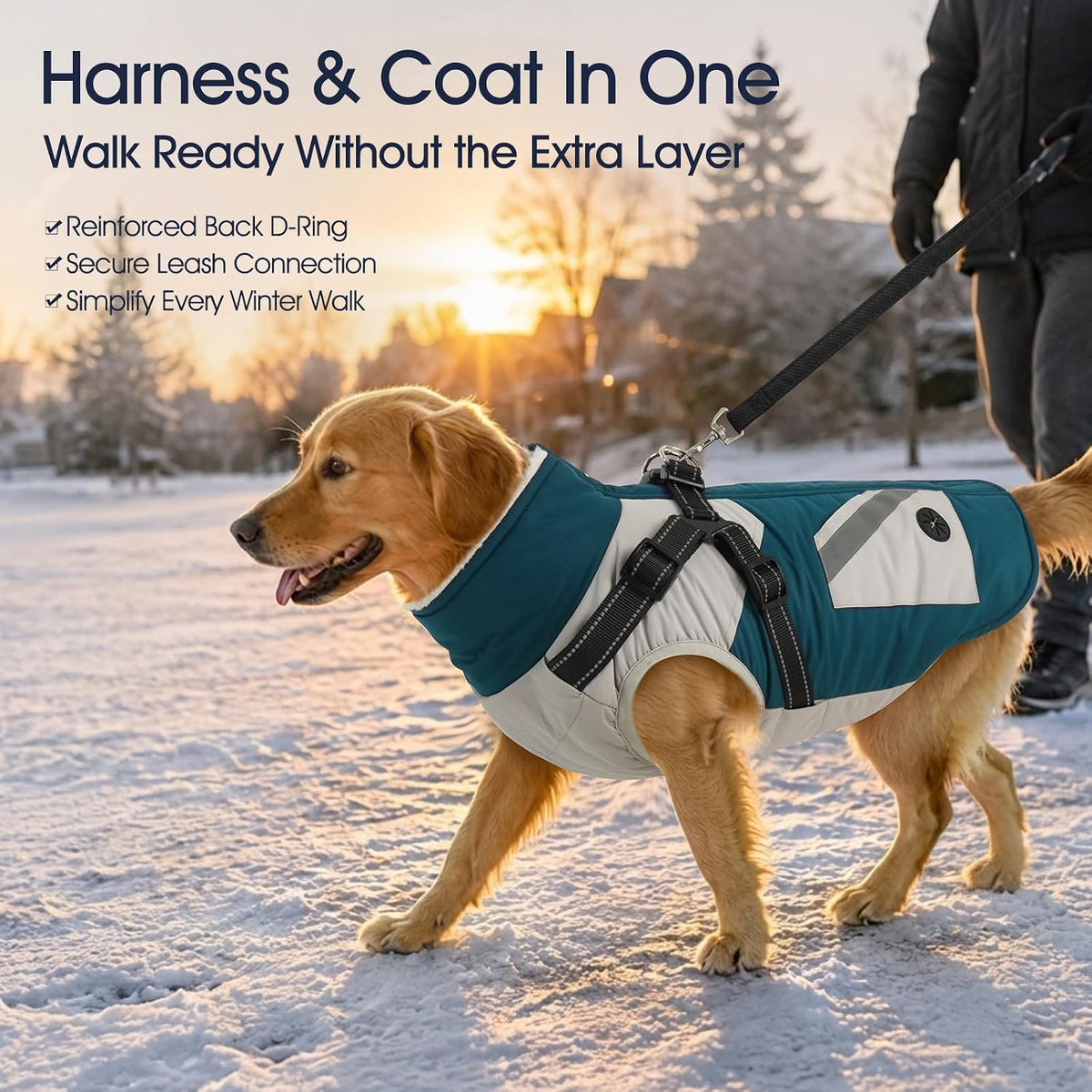 Dog Winter Coat with Harness Built in - Large(Chest:24.4 in) / Turquoise Green - image 2
